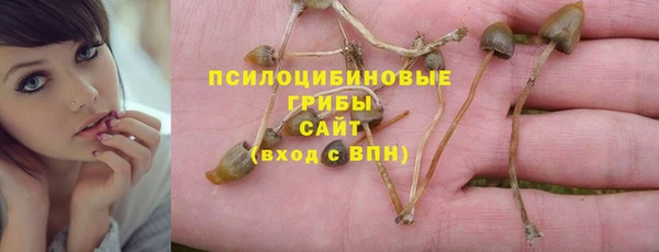 молекула духа Армянск
