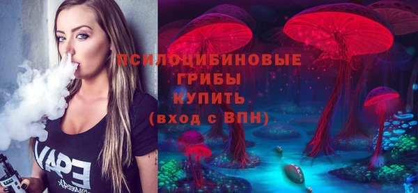 мет Арсеньев